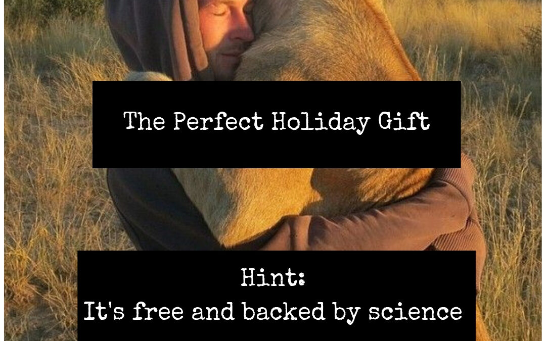 holiday gift